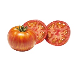 13242