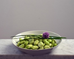 beans-ge700a8c55_1920
