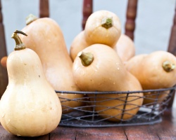 butternut_1360738119