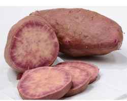 patate_douce_violette