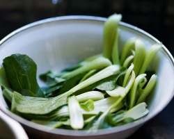 pexels-catscoming-1543796