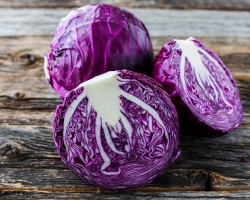 pexels-miro-vrlik-7902150