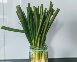 pexels-paula-alionyte-3064154-4646760