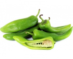 poivron-long-vert
