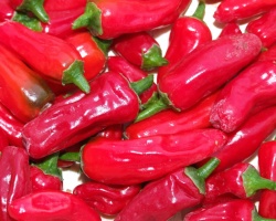 poivron_rouge_1071108358