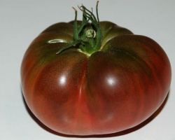 tomate-noire-crime