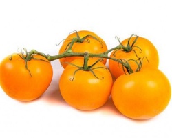 tomate_jaune_1433403613