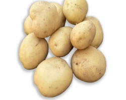 vitabella