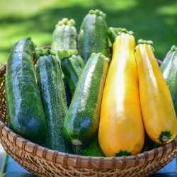 courgette_surprise