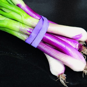 oignon_rouge_205319957