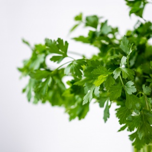 parsely-g5c645ae9e_1920