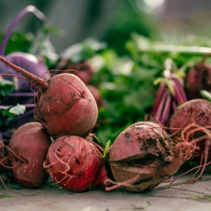 pexels-chris-f-8618970