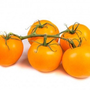 tomate_jaune_1433403613